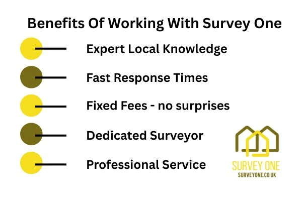 Benefits Of Working With Survey One Islington